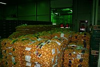 Exkursion 2016, Kartoffelsäcke bei Friweika
