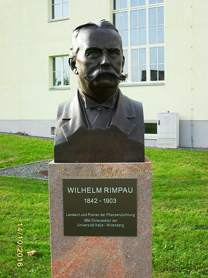 Wilhelm Rimpau, Bste mit Informationstafel, Campus Heide-Sd, Okt. 2016, Foto: H. Braunsdorff