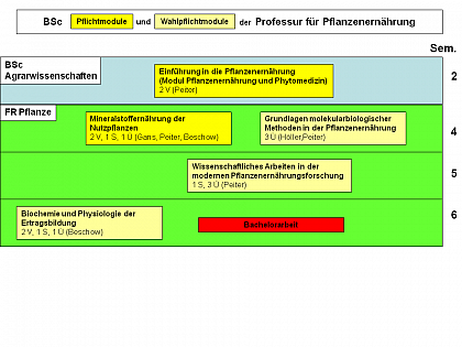 Pflanzenernährung_BSc-Module