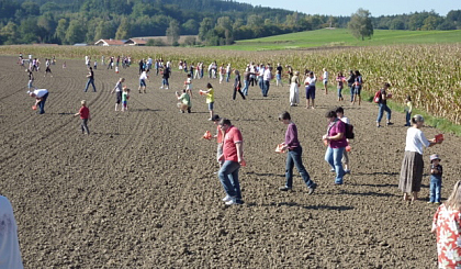 Quelle Foto: www.demeter.de/fachwelt/landwirte/auch-diesem-herbst-wieder-zukunft-saeen
Verbraucher säen gemeinsam Brotgetreide als symbolischen Ausdruck der gemeinsamen Verantwortung, für landwirtschaftliche Flächennutzung beim Demeter Anbauverband.
Kreative Kooperationsformen zwischen Verbrauchern und Landwirten sind auf dem Vormarsch. Wie können wir politisch solche Kooperationen fördern und Raum zum Experimentieren schaffen?