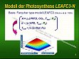 Grundgleichungen des Gasaustauschmodells LEAFC3-N, allgemeine Formulierung