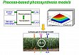 Upscaling Schema,Blatt- und Bestandesgaswechselmodell