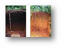 Terra Preta vs Ferralsol