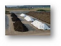 Biochar compost