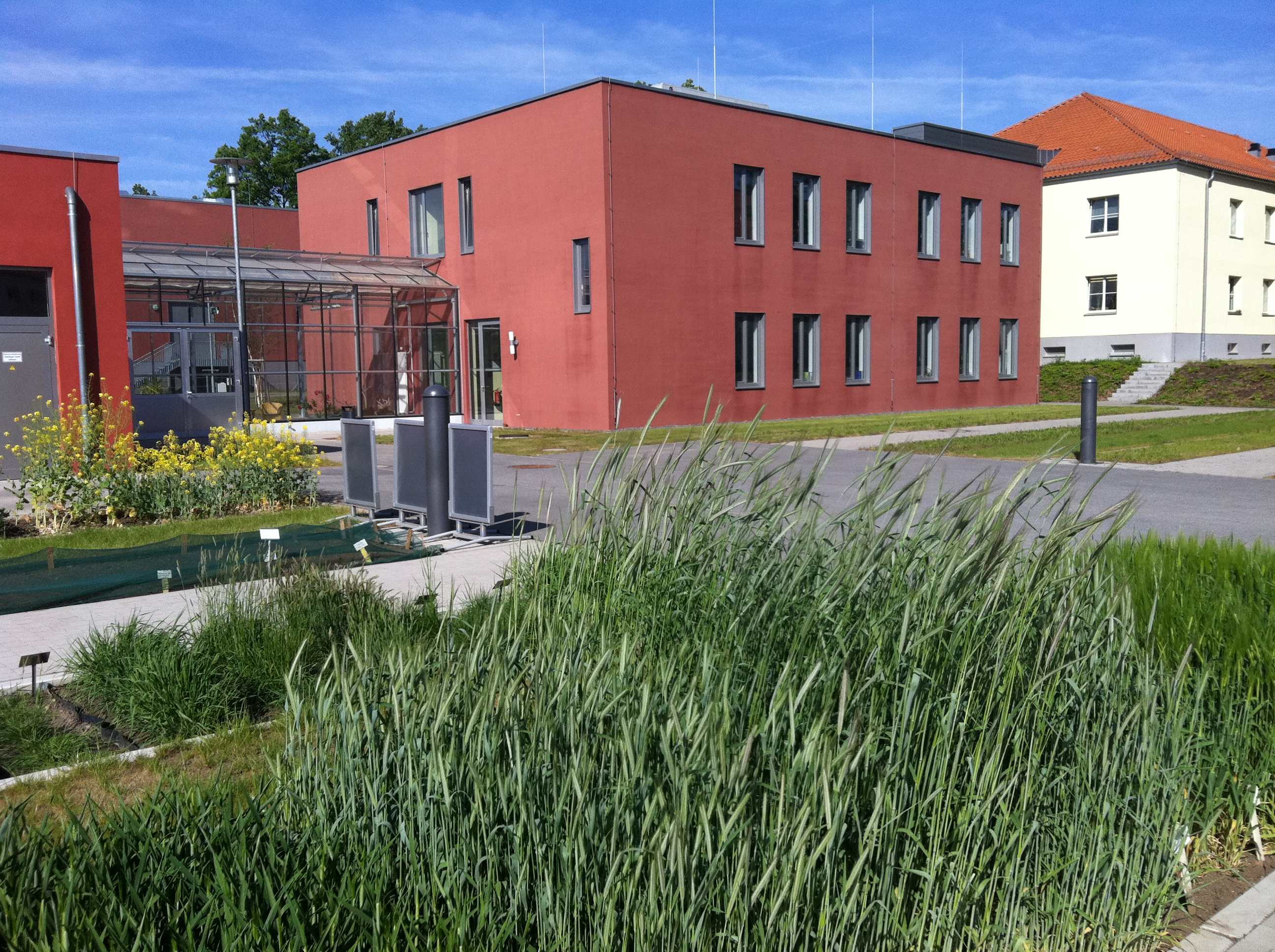 Versuchsparzellen Versuchsparzellen
