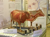 EuroTier 2010_5