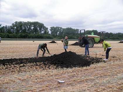 Feldversuch Wendland (Foto: Katja Wiedner)