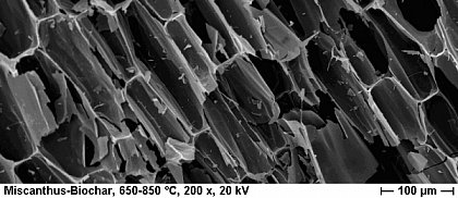 Miscanthus Pflanzenkohle - Mikroskopaufnahme (Foto: Katja Wiedner)