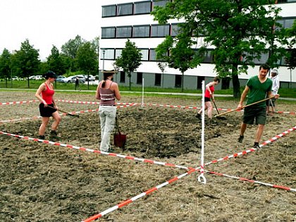 Klimagarten-Halle: Versuchsansatz (Foto: Daniela Busch)