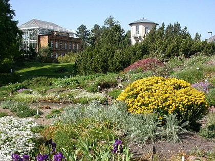 Botanical Garden of the Martin Luther University (Foto: M.Hoffman, MLU)