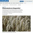 [Deutschlandfunk] Pflanzenkohle als Düngemittel