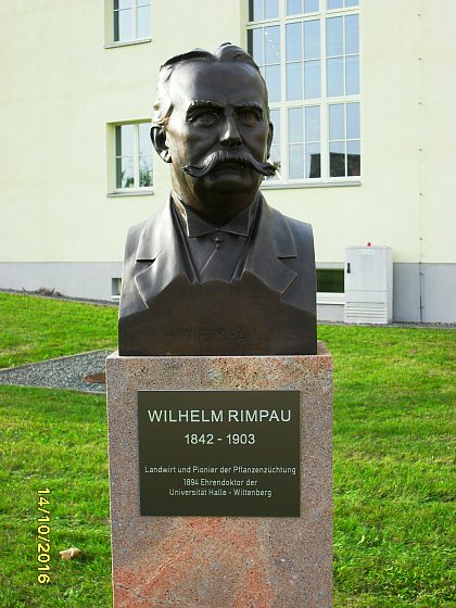 Wilhelm Rimpau, Büste mit Informationstafel, Campus Heide-Süd, Okt. 2016, Foto: H. Braunsdorff