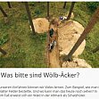 [LEXITV] Was bitte sind Wlb-cker?