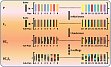 Figure 1 Development of the nested association mapping population HEB-25.