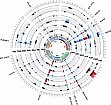 Figure 1
Comparison of GWAS results across developmental traits, thousand grain weight and plant height.