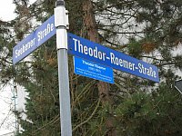Theodor-Roemer-Straße in Halle (Saale)