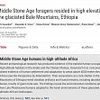 M
iddle Stone Age foragers resided in 
high elevations of the glaciated Bale 
Mountains, Ethiopia