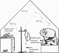 Zech M, Bsel S, Tuthorn M, Benesch M, Dubbert M, Cuntz M 
and Glaser B (2015) Sauna, Sweat and Science – 
Quantifying the proportion of condensation water versus 
sweat using a stable water isotope (2H/1H and 18O/16O) 
tracer experiment. Isotopes in Environmental and Health 
Studies 