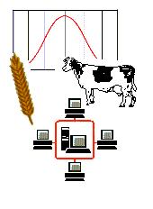 Logo AG Biometrie und Agrarinformatik