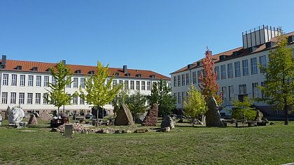 Soil biogeochemistry, Institute of agricultural and nutritional sciences (Photo: Bruno Glaser)