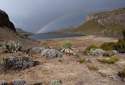 lake Garba Guracha (Foto: Michael Zech)