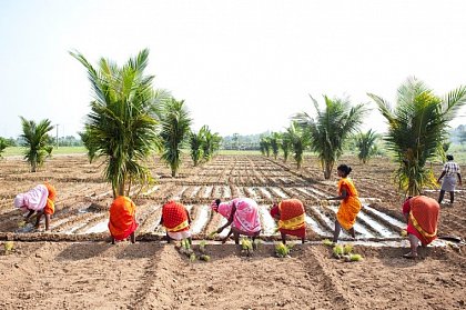 Scaling- up in India (source: https://www.siani.se/wp-content/uploads/2017/10/11834704913_b5eff5b050_b.jpg)