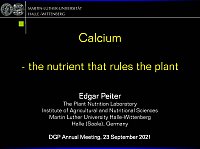 DGP 2021 Talk Edgar Peiter