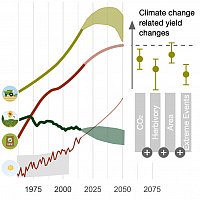 Agriculture in a hot climate