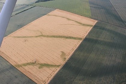 Streinflsse bei der Berechnung der teilschlagspezifischen Stickstoffdngung
(Foto: Markus Mller)
