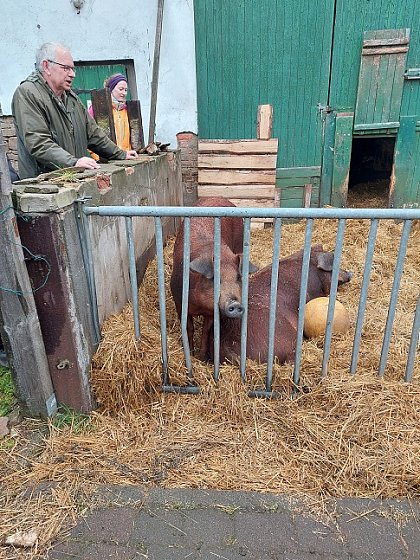 Exkursion Zukunftsfhige Landwirtschaft Neulandbetrieb Hof an der Eiche 2023