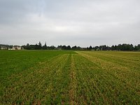 Ausprägung unterschiedlicher Maßnahmen im Luzerneanbau (Foto: S. Henninger)