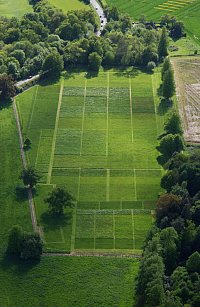 (Photo: Park Grass Experiment, Rothamsted Research)