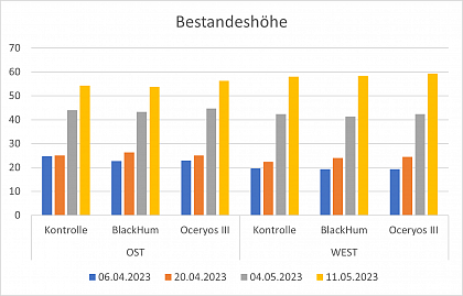 Bestandeshhe [in cm] Luzerne (Grafik: Sophie Henninger)