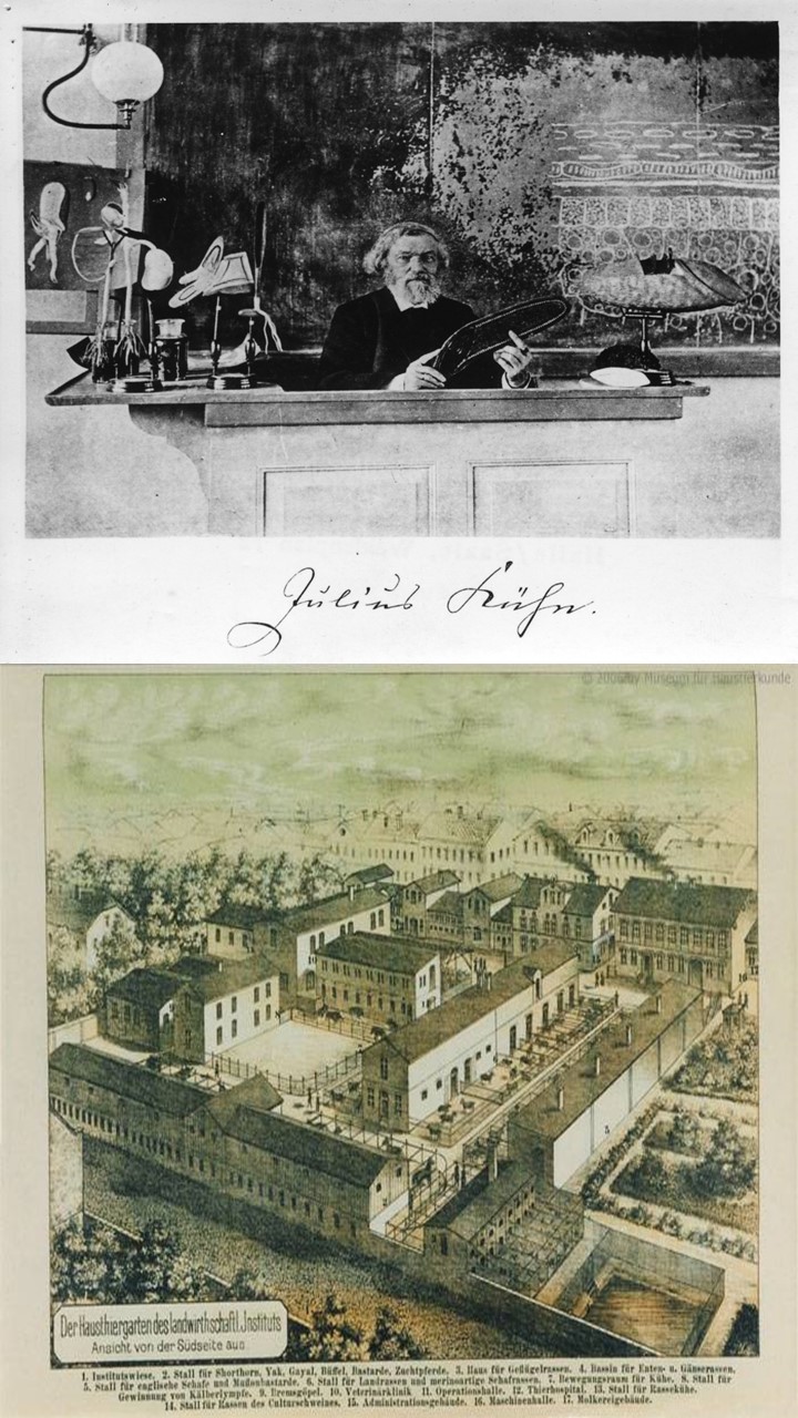 Julius Khn 08.10.1895-Zelle erklrend u. Haustiergarten 1888