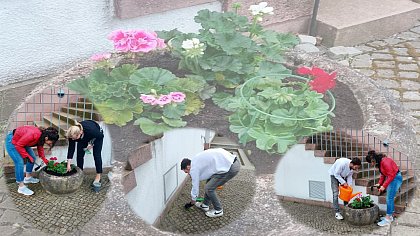 Planting Team