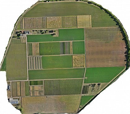 Kühnfeld 01.07.2025