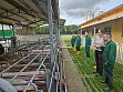 Sauenboxen_außen