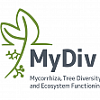 05.06.05.25 MyDiv Gelndearbeit Bad Lauchstdt
