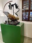 Lehrmodell f�r einen Knoter von Prof. Dr. Martiny um 1900. � Axel Bachner