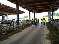 Offenstall (Foto: Markus Freick)
